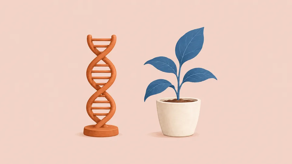 En orange DNA-model og en plante med blå blade i hvid potte på lyserød baggrund.